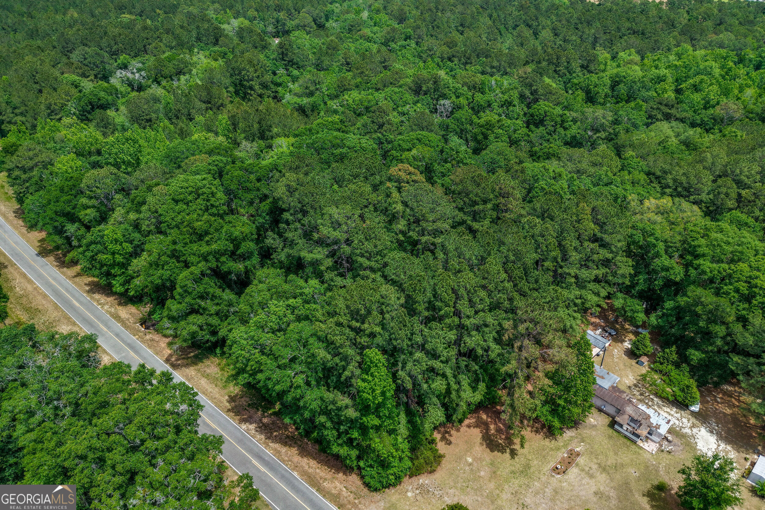 0 Salem Road Boston, GA 31626 - Photo 11 of 13 a view of a garden with a tree
