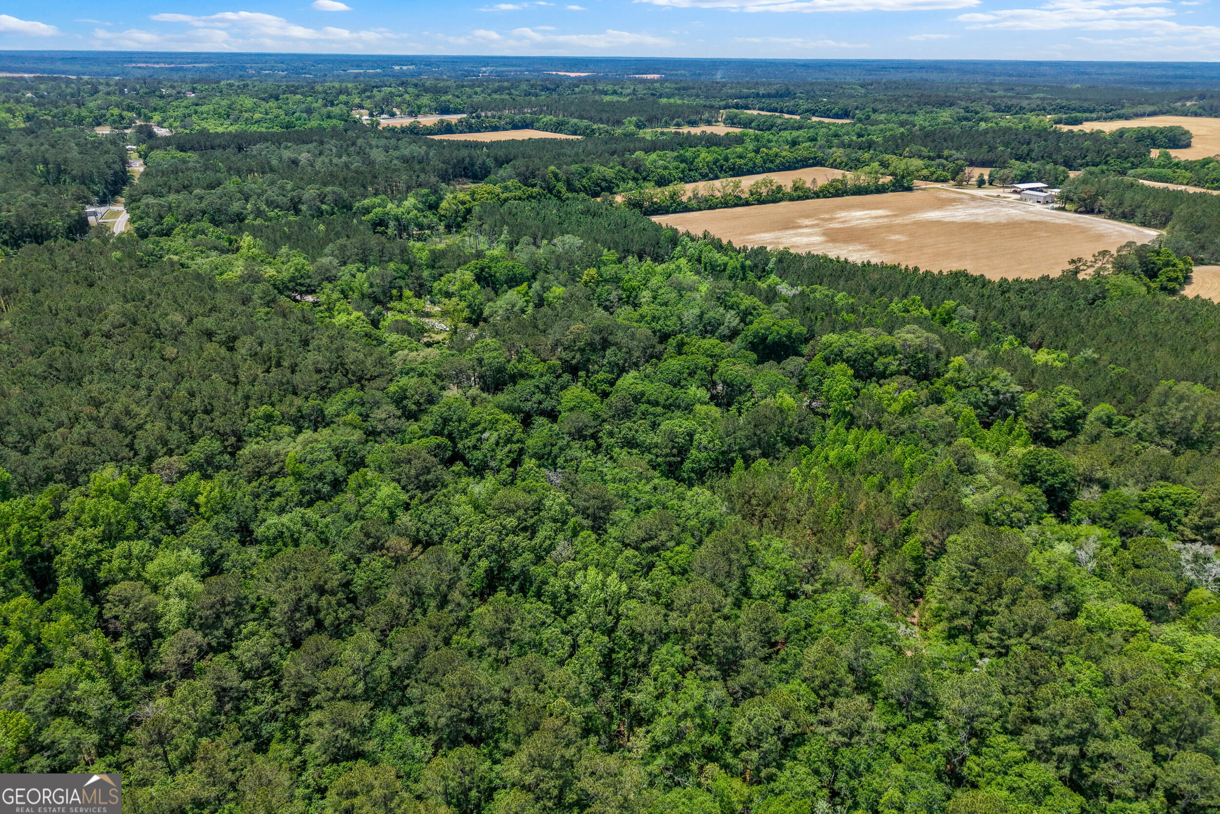 0 Salem Road Boston, GA 31626 - Photo 7 of 13 an aerial view of residential houses with outdoor space and trees