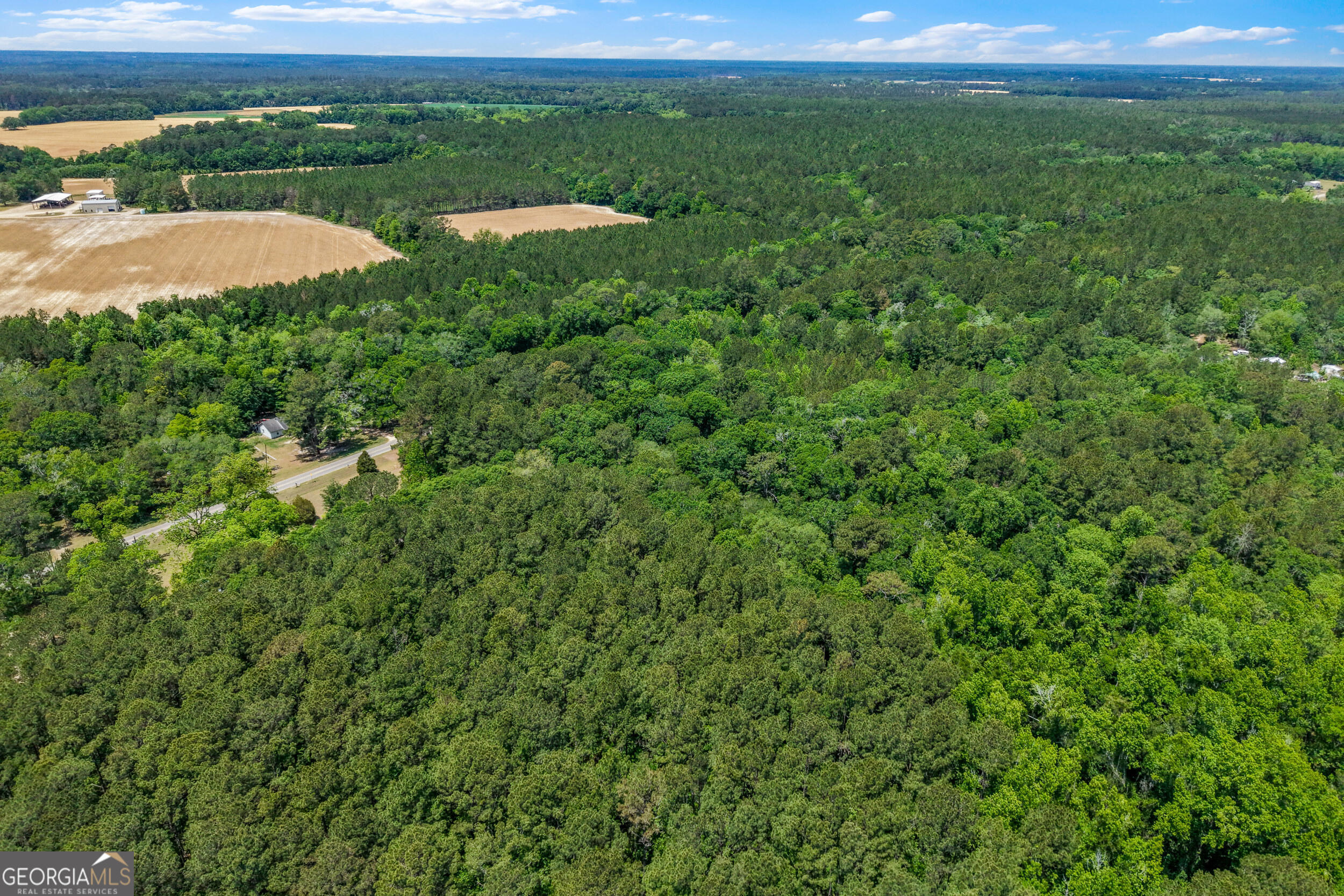 0 Salem Road Boston, GA 31626 - Photo 9 of 13 a view of a lush green field
