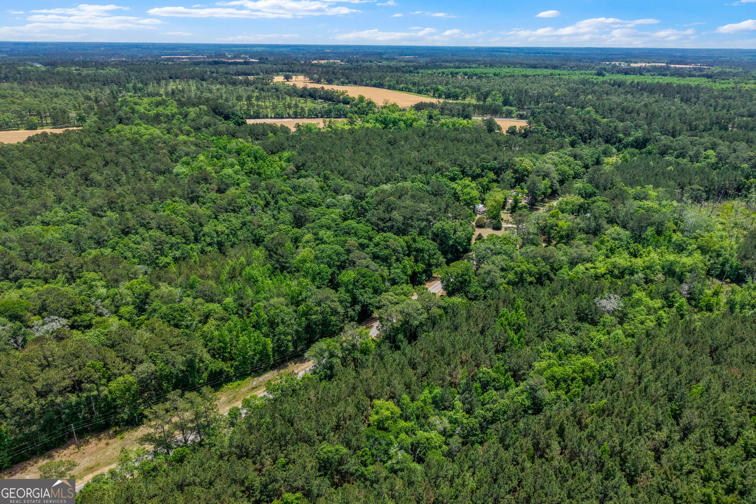 0 Salem Road Boston, GA 31626 - Photo 10 of 13 a view of a lush green forest with lots of trees