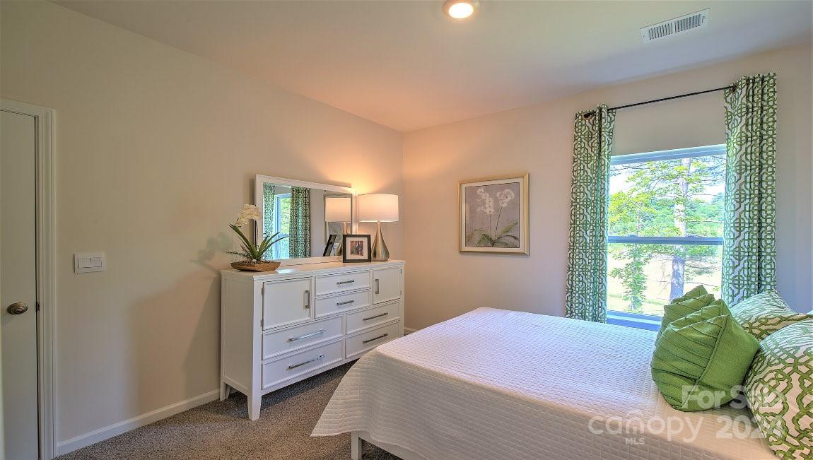 123 Dandelion Road Fletcher, NC 28732 - Photo 31 of 35