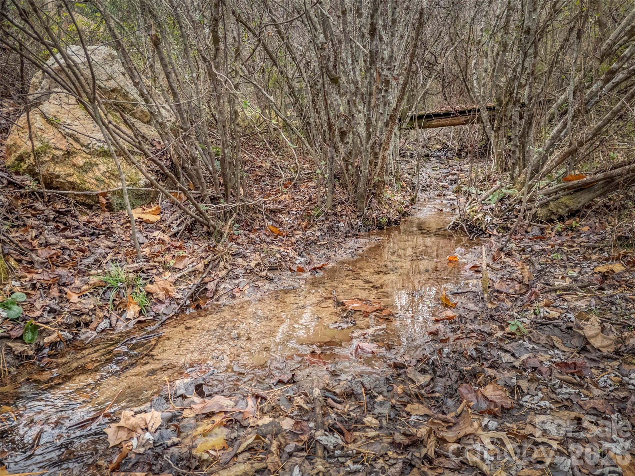896 Newfound Road Leicester, NC 28748 - Photo 19 of 27