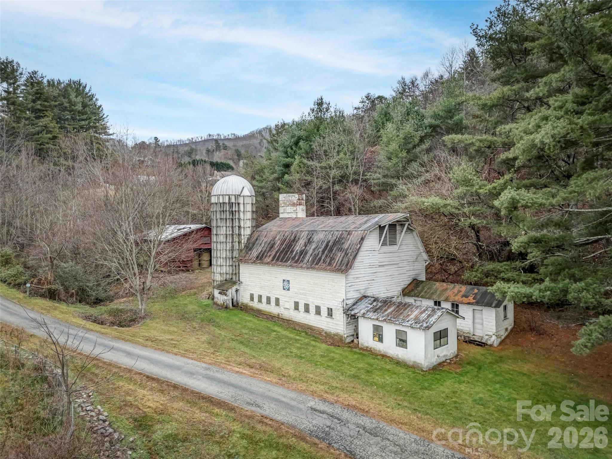 896 Newfound Road Leicester, NC 28748 - Photo 3 of 27