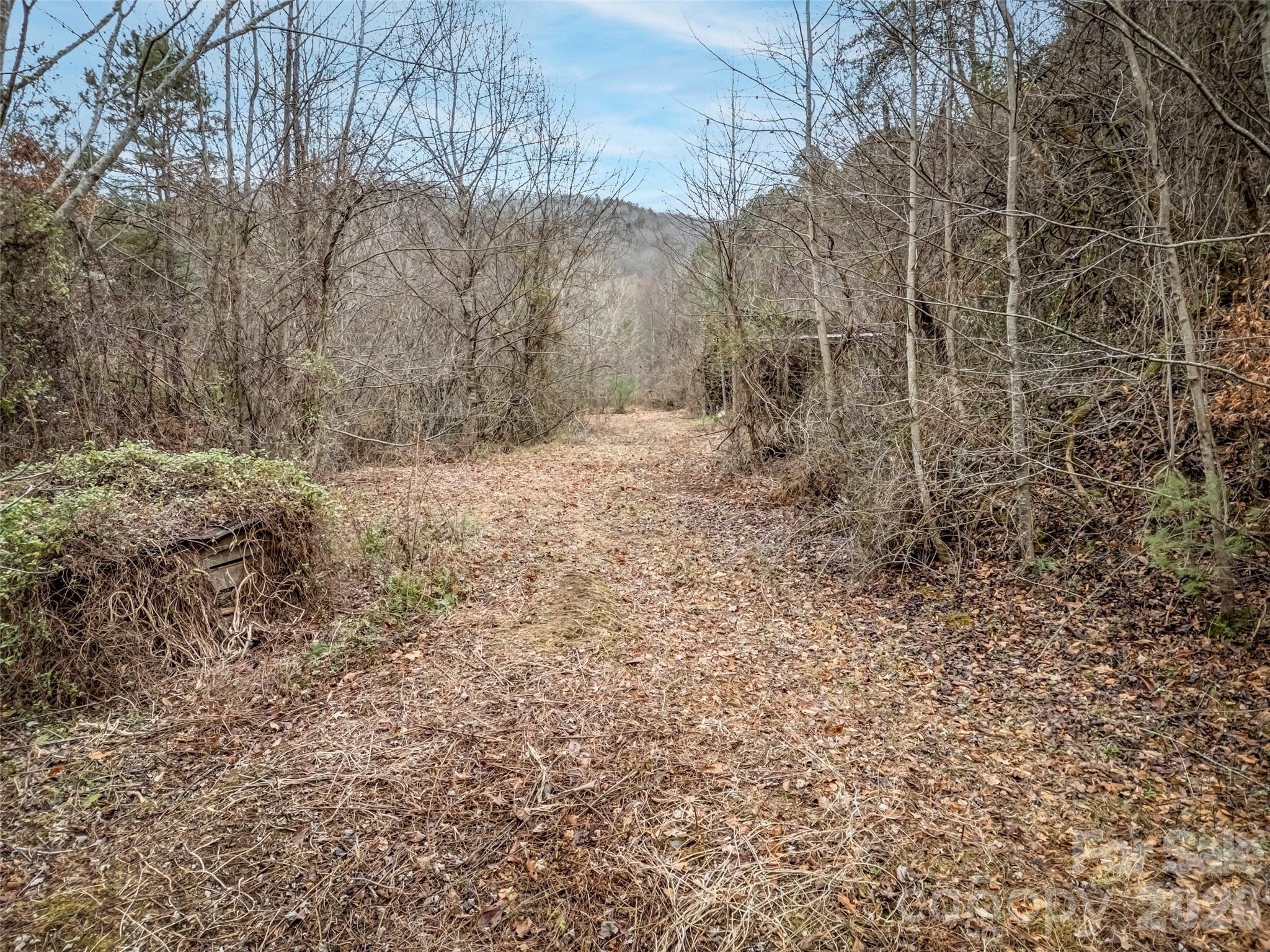 896 Newfound Road Leicester, NC 28748 - Photo 5 of 27