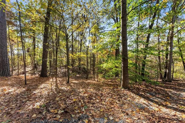 $875,000 | 7269 Sloan Stephens Road, Alto, GA 30510