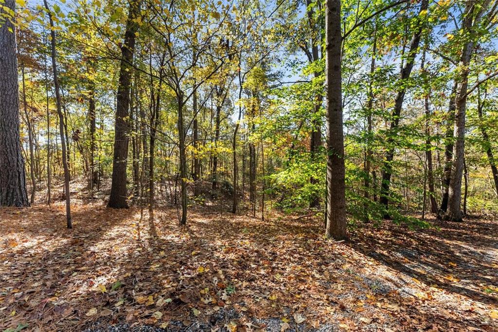 7269 Sloan Stephens Road Alto, GA 30510 - Photo 50 of 70