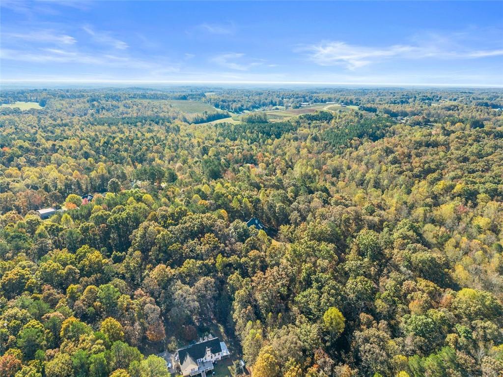 7269 Sloan Stephens Road Alto, GA 30510 - Photo 62 of 70