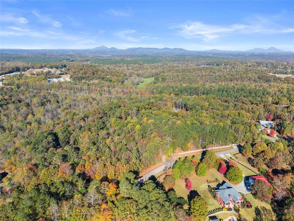 7269 Sloan Stephens Road Alto, GA 30510 - Photo 67 of 70