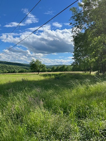 1731 Ed Klug Road Franklin, NY 13775 - Photo 1 of 1
