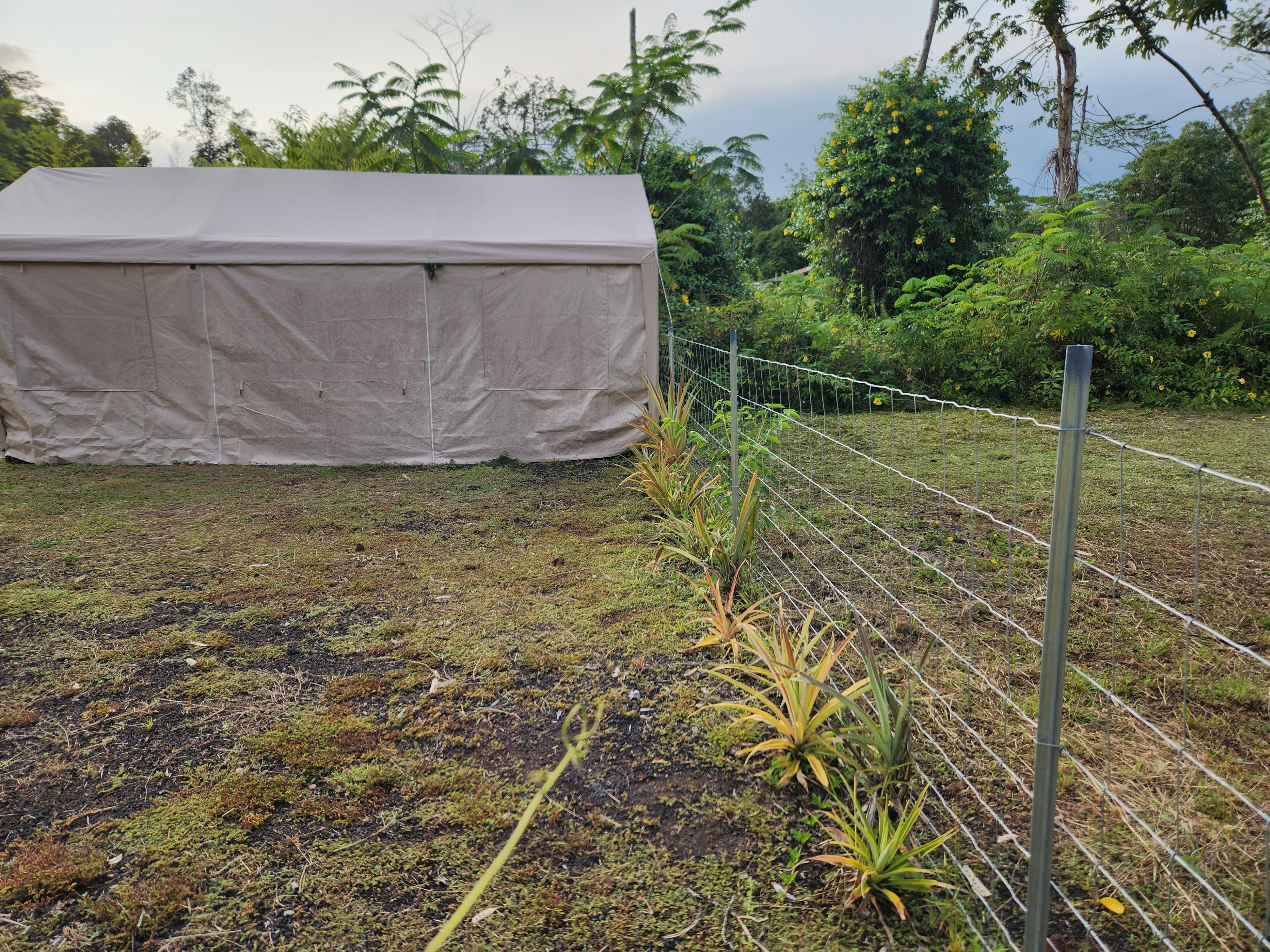 577 Puna Road Pahoa, HI 96778 - Photo 4 of 18 Gallery Image 4