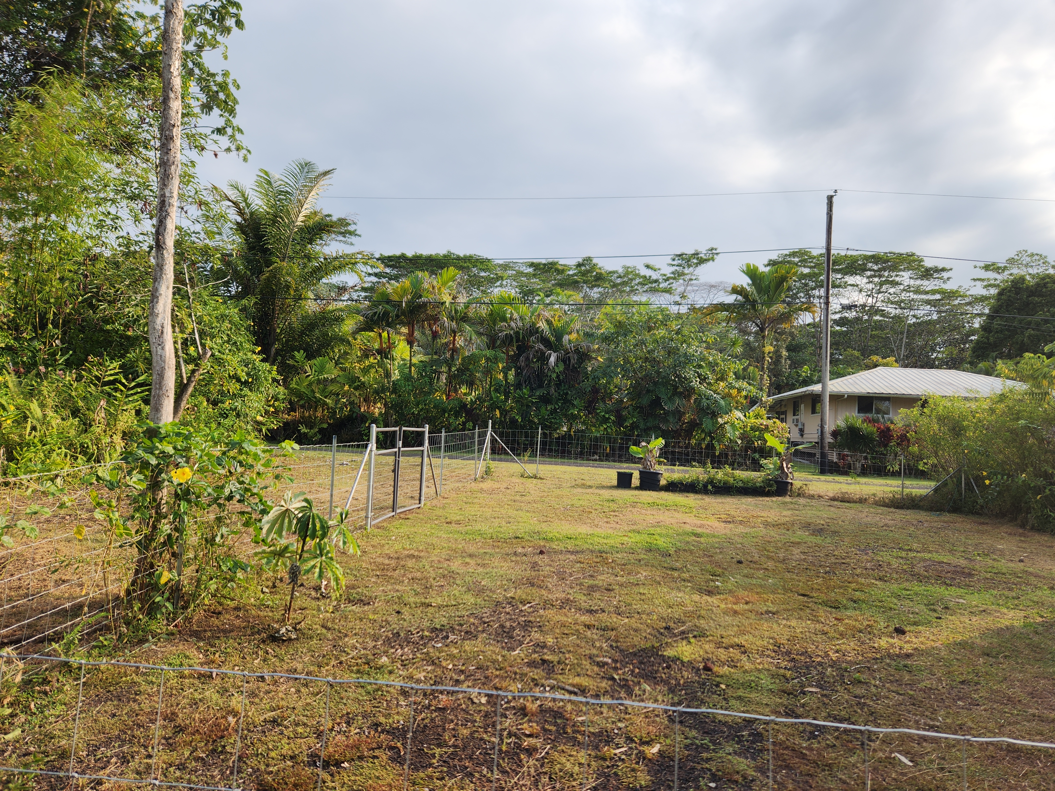 577 Puna Road Pahoa, HI 96778 - Photo 5 of 18 Gallery Image 5