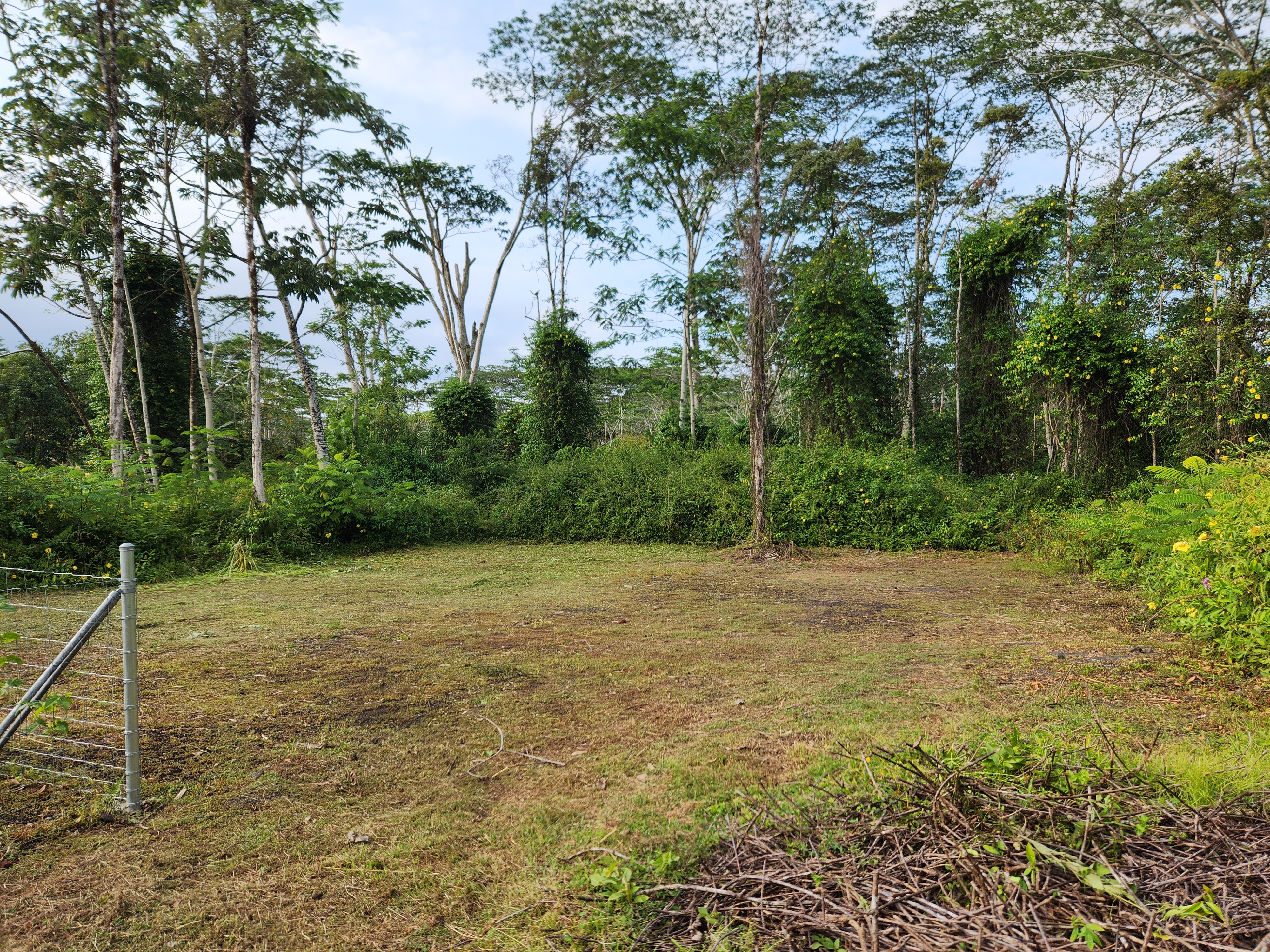 577 Puna Road Pahoa, HI 96778 - Photo 6 of 18 Gallery Image 6