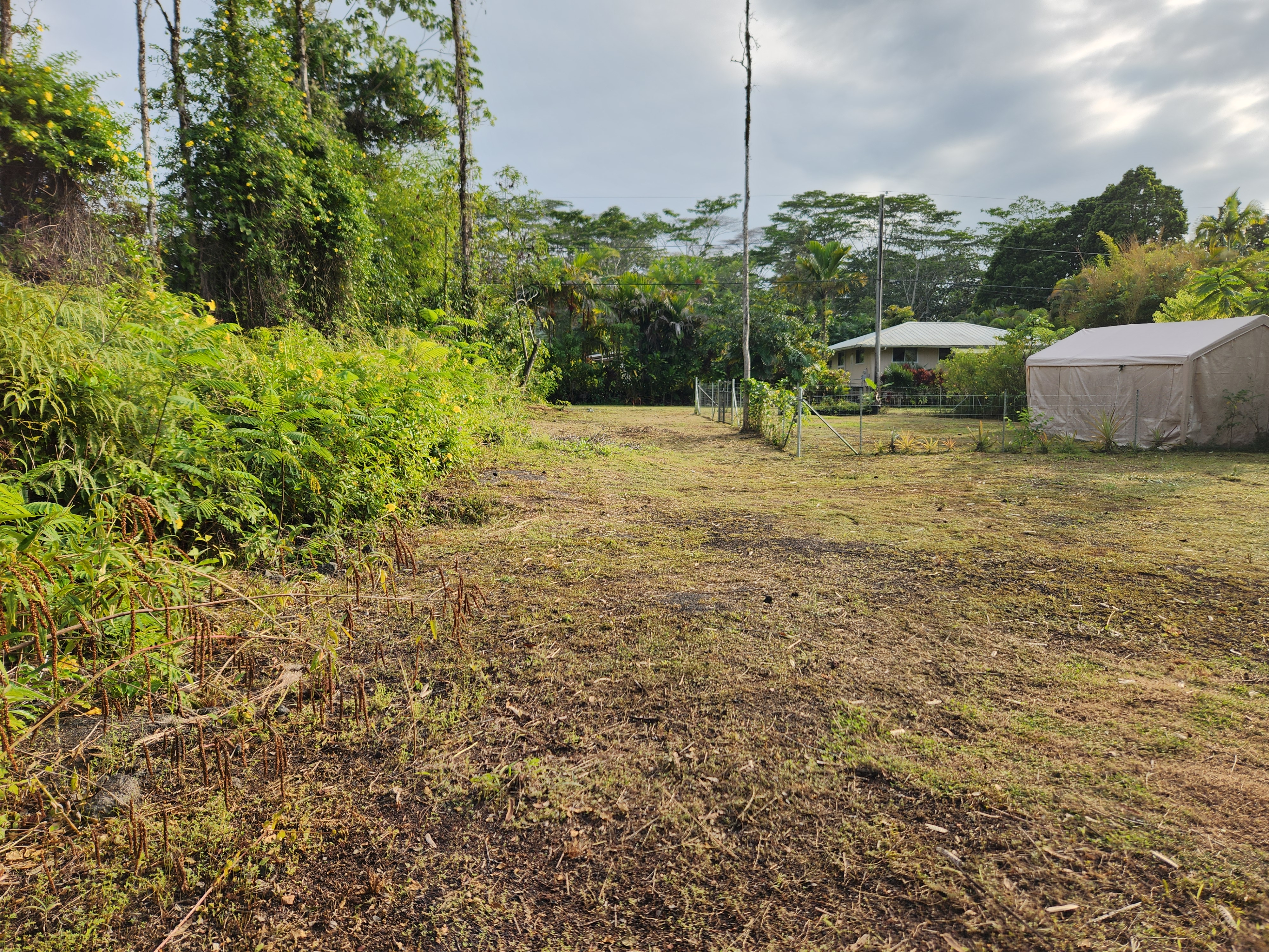 577 Puna Road Pahoa, HI 96778 - Photo 7 of 18 Gallery Image 7