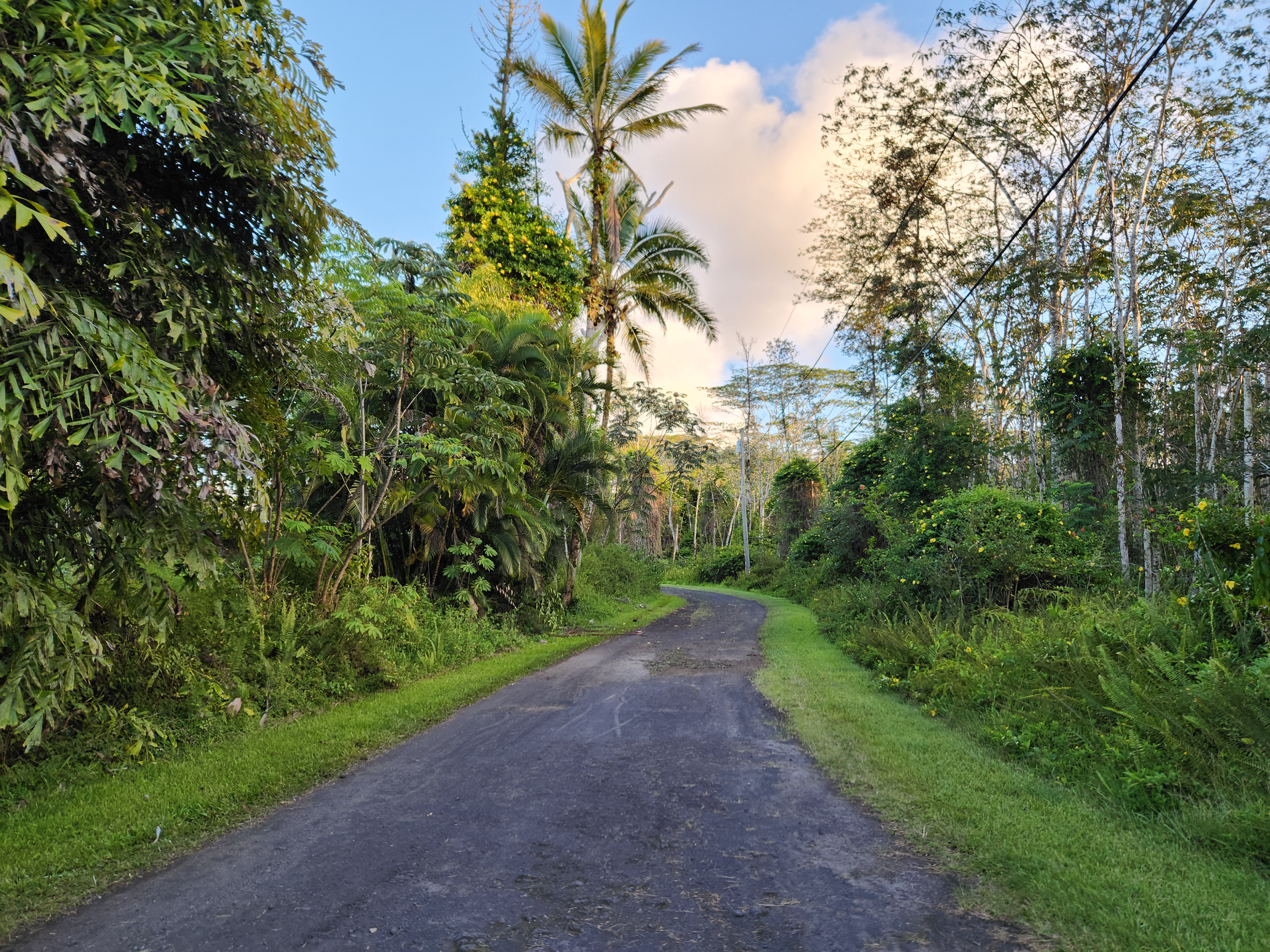 577 Puna Road Pahoa, HI 96778 - Photo 8 of 18 Gallery Image 8
