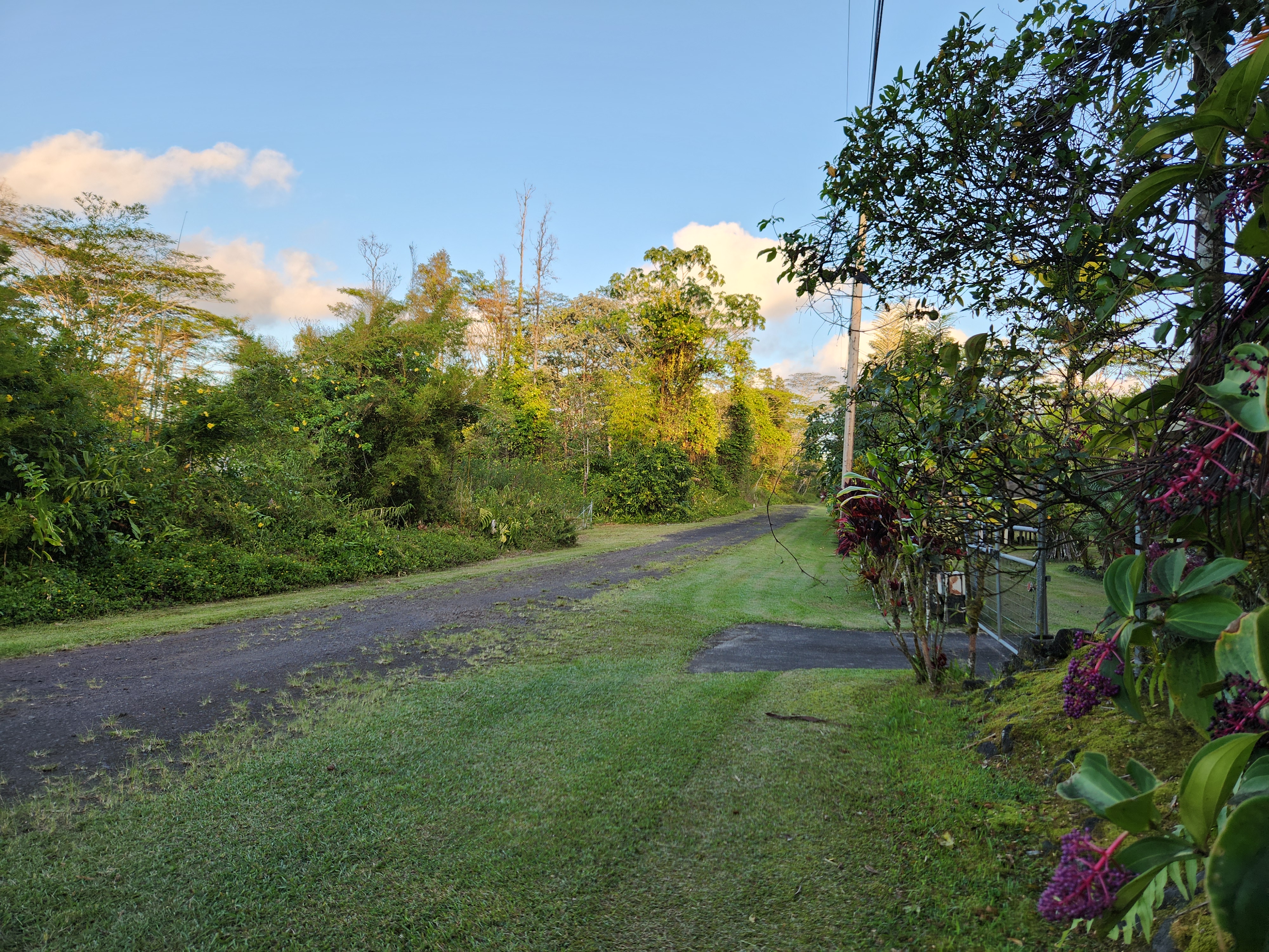 577 Puna Road Pahoa, HI 96778 - Photo 10 of 18 Gallery Image 10