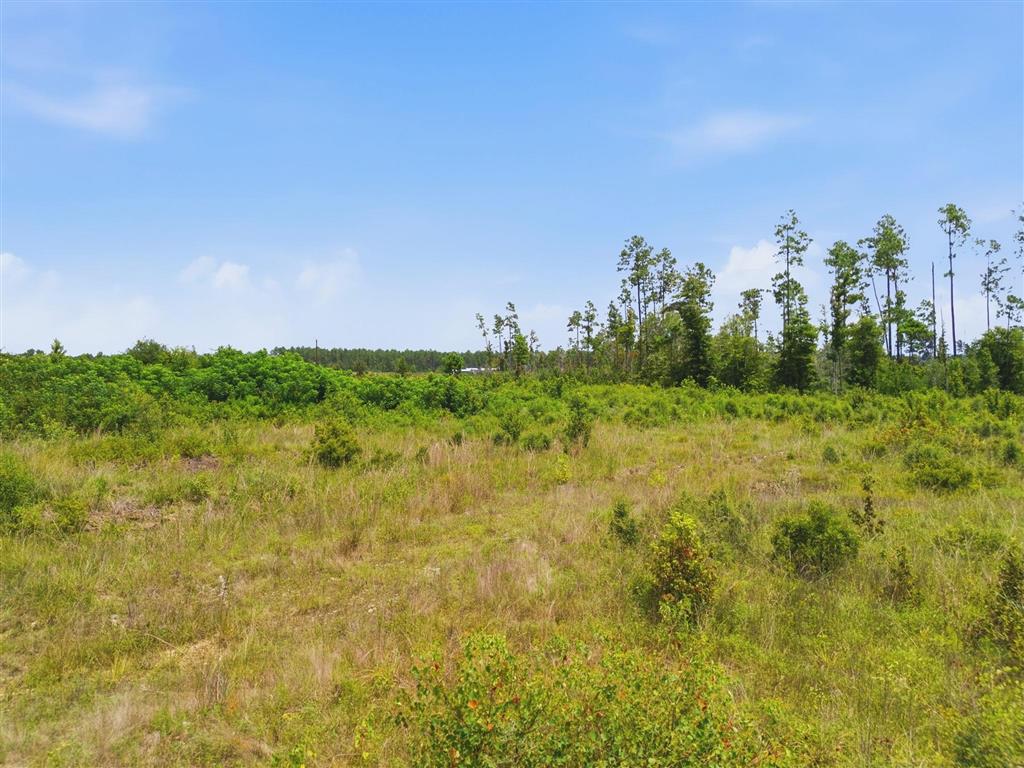 Elroy Sittig Road Longville, LA 70652 - Photo 8 of 9