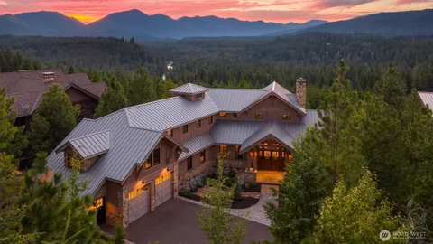 an aerial view of a house with a yard and a large tree