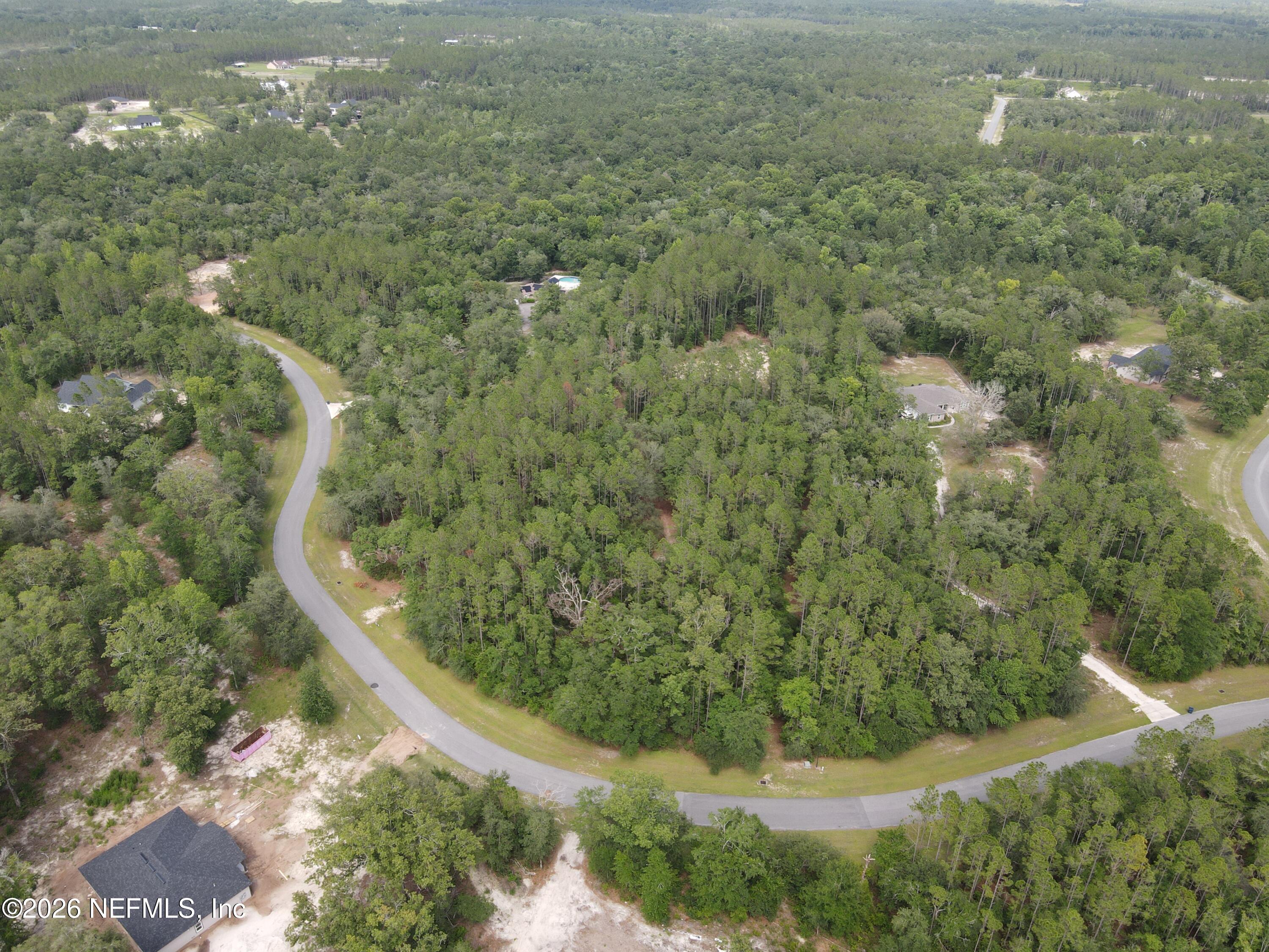 15422 Bullock Bluff Road Bryceville, FL 32009 - Photo 7 of 23 a view of a yard with a tree