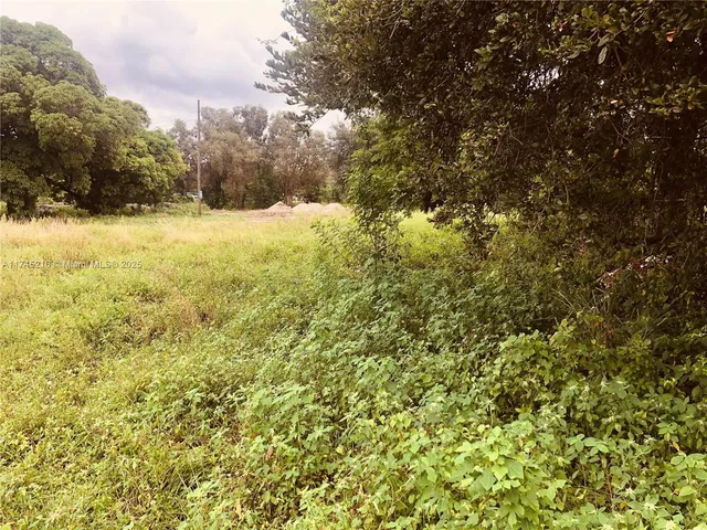 a view of a yard with trees in the background