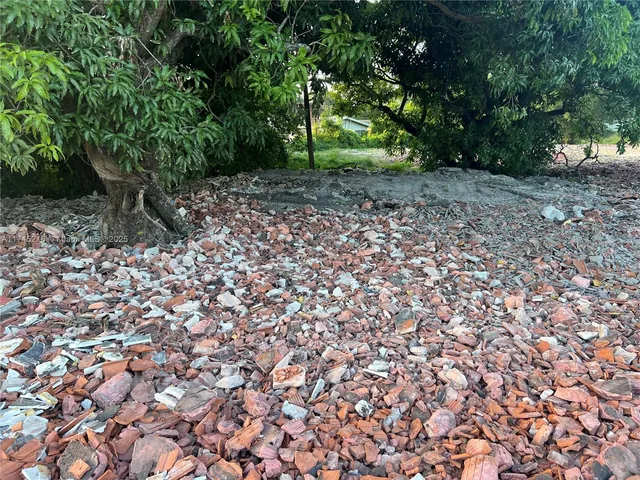 a view of a large tree with lots of trees
