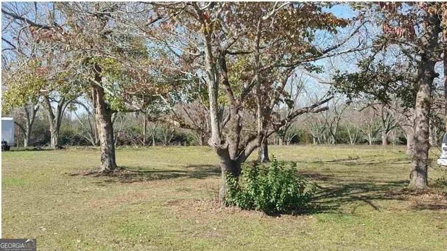 a view of a field with a tree
