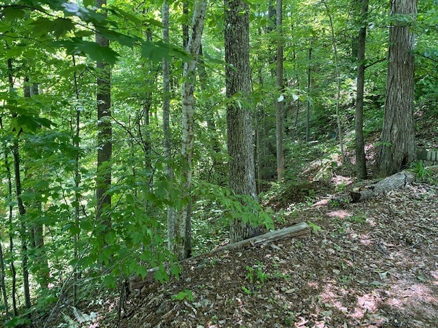 0 Ridgefield Drive Sevierville, TN 37876 - Photo 2 of 4 Gallery Image 2