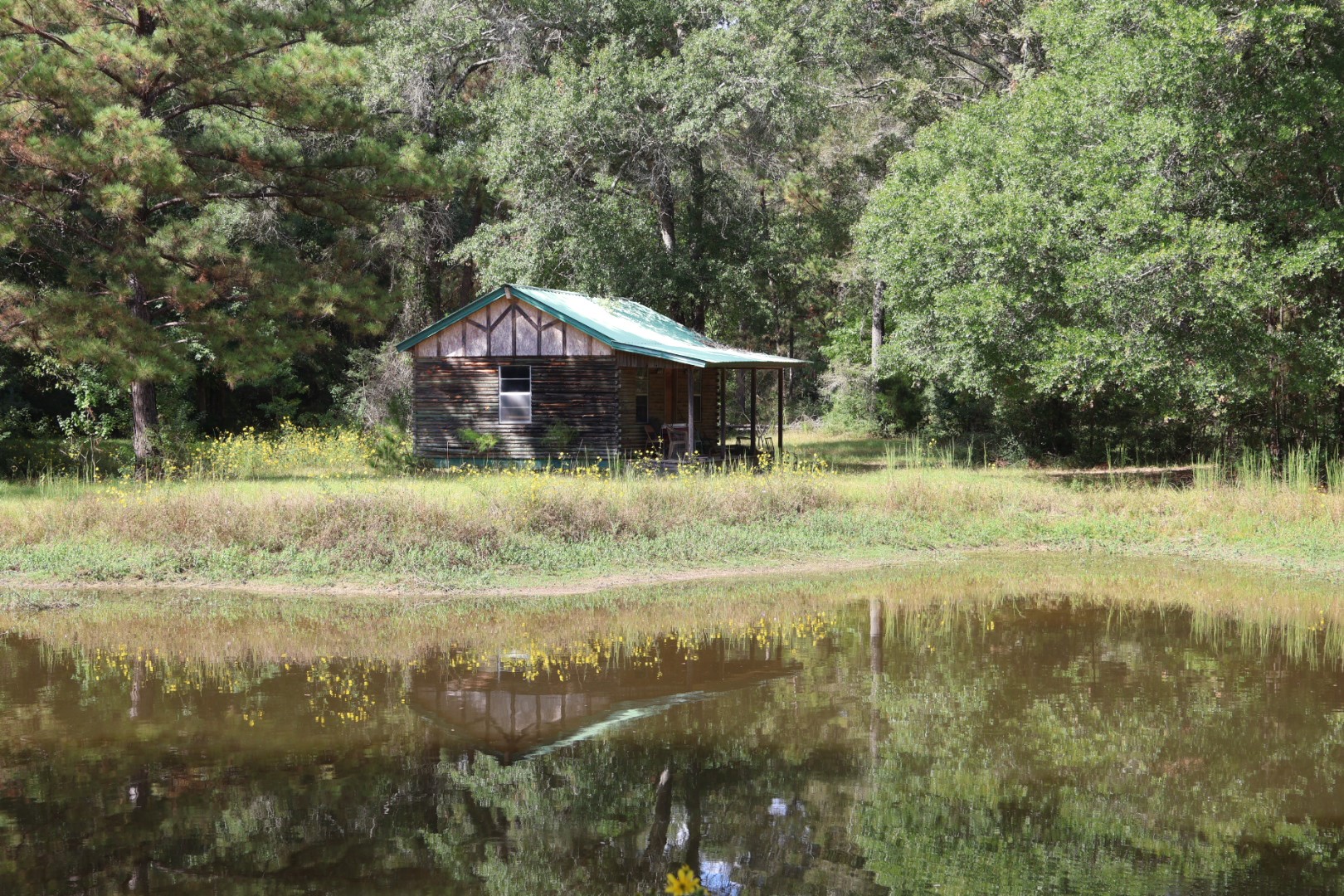 3680 Holly Grove Road Livingston, TX 77351 - Photo 19 of 24 a backyard of a house with a yard and large tree
