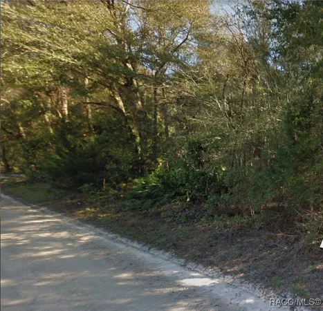 $24,000 | Lot 52 Northwest 36th Lane, Bell, FL 32619