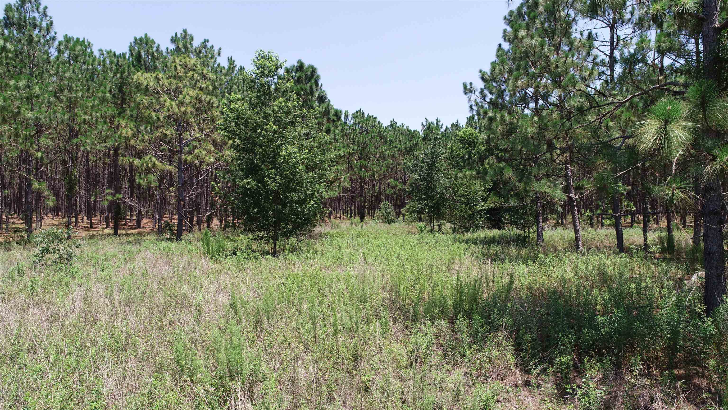 Southeast Midway Church Road Lee, FL 32059 - Photo 2 of 16 Gallery Image 2