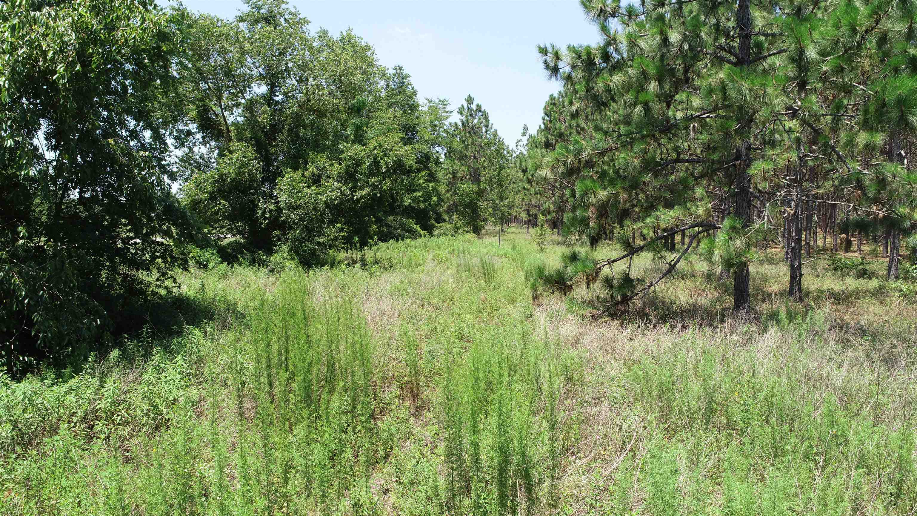 Southeast Midway Church Road Lee, FL 32059 - Photo 3 of 16 Gallery Image 3