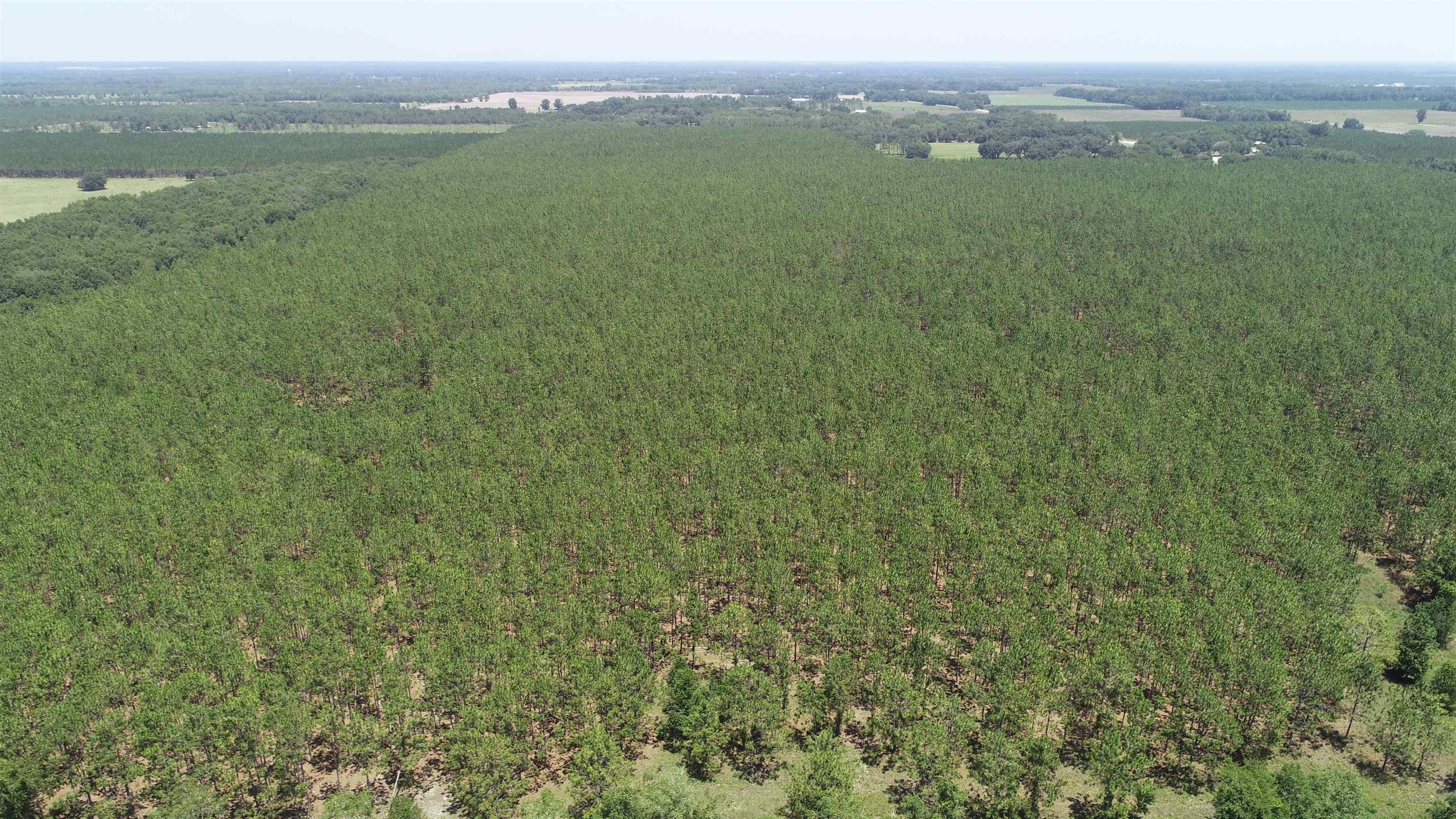 Southeast Midway Church Road Lee, FL 32059 - Photo 7 of 16 Gallery Image 7
