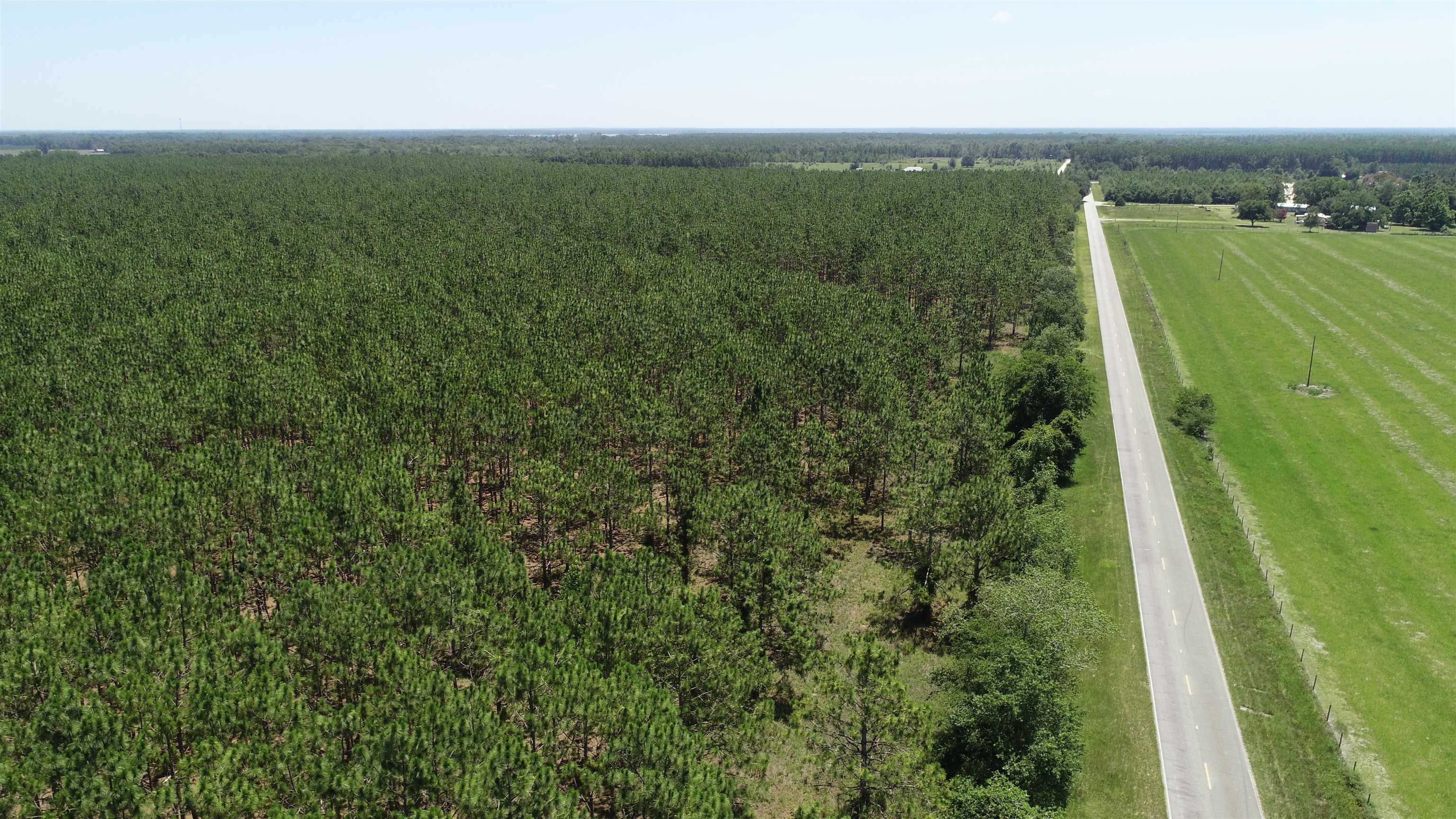 Southeast Midway Church Road Lee, FL 32059 - Photo 8 of 16 Gallery Image 8