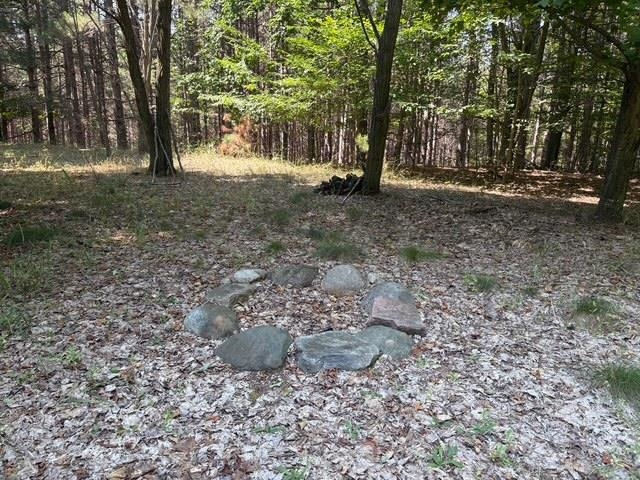 Erdt Road Suttons Bay, MI 49682 - Photo 13 of 36 Gallery Image 13