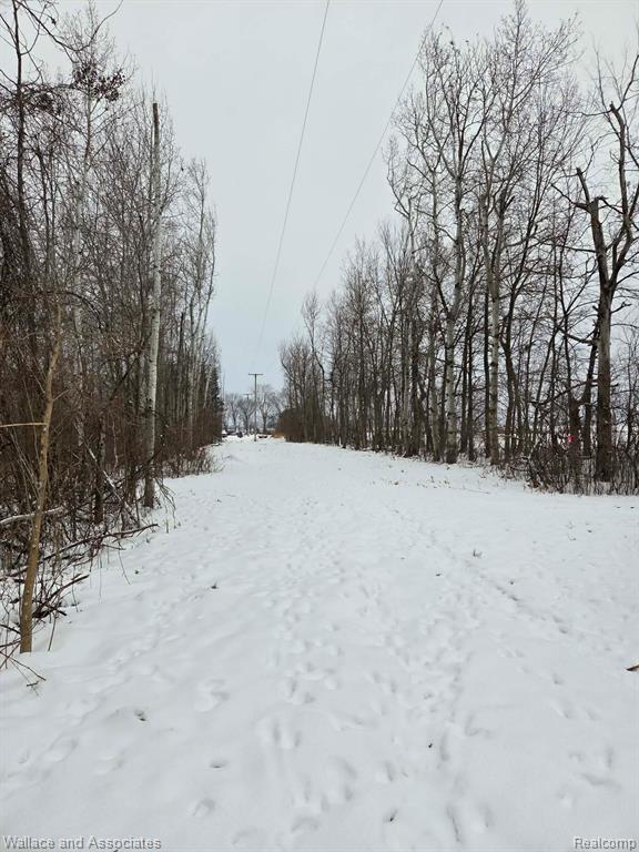 0 Hadley Road Decker, MI 48426 - Photo 8 of 18