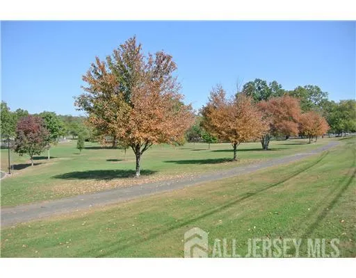 a view of a park