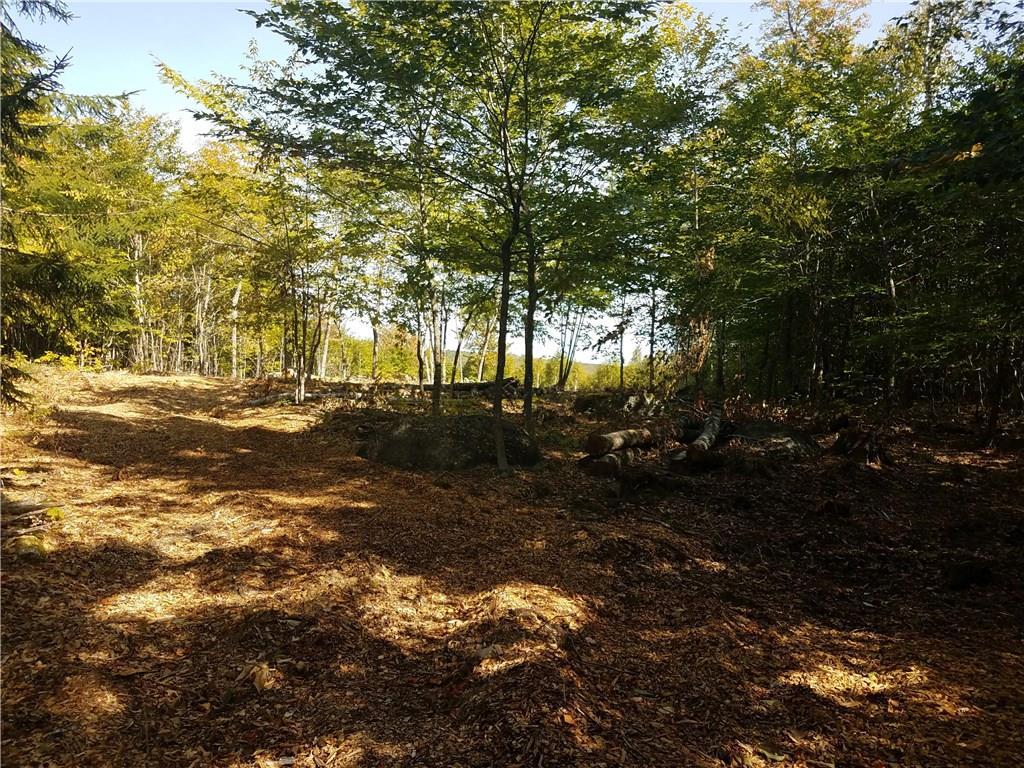 2027 Mann Hill Road Dedham, ME 04429 - Photo 4 of 18 Photo