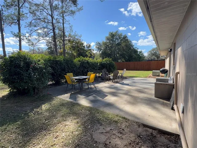 a view of a backyard with lawn chairs and a large tree