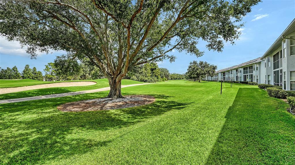 6611 Stone River Road, Unit 103 Bradenton, FL 34203 - Photo 19 of 61 a view of a park with large trees and a big yard