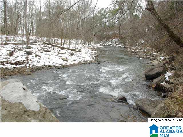 33 County Road, Unit 48 Oneonta, AL 35121 - Photo 4 of 33