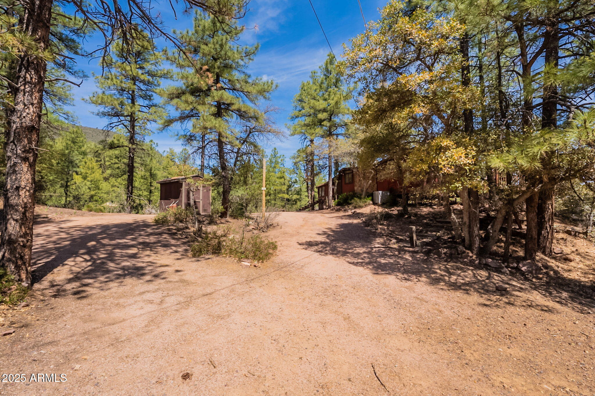 3524 Kelly Circle Pine, AZ 85544 - Photo 45 of 69 a view of road with large trees