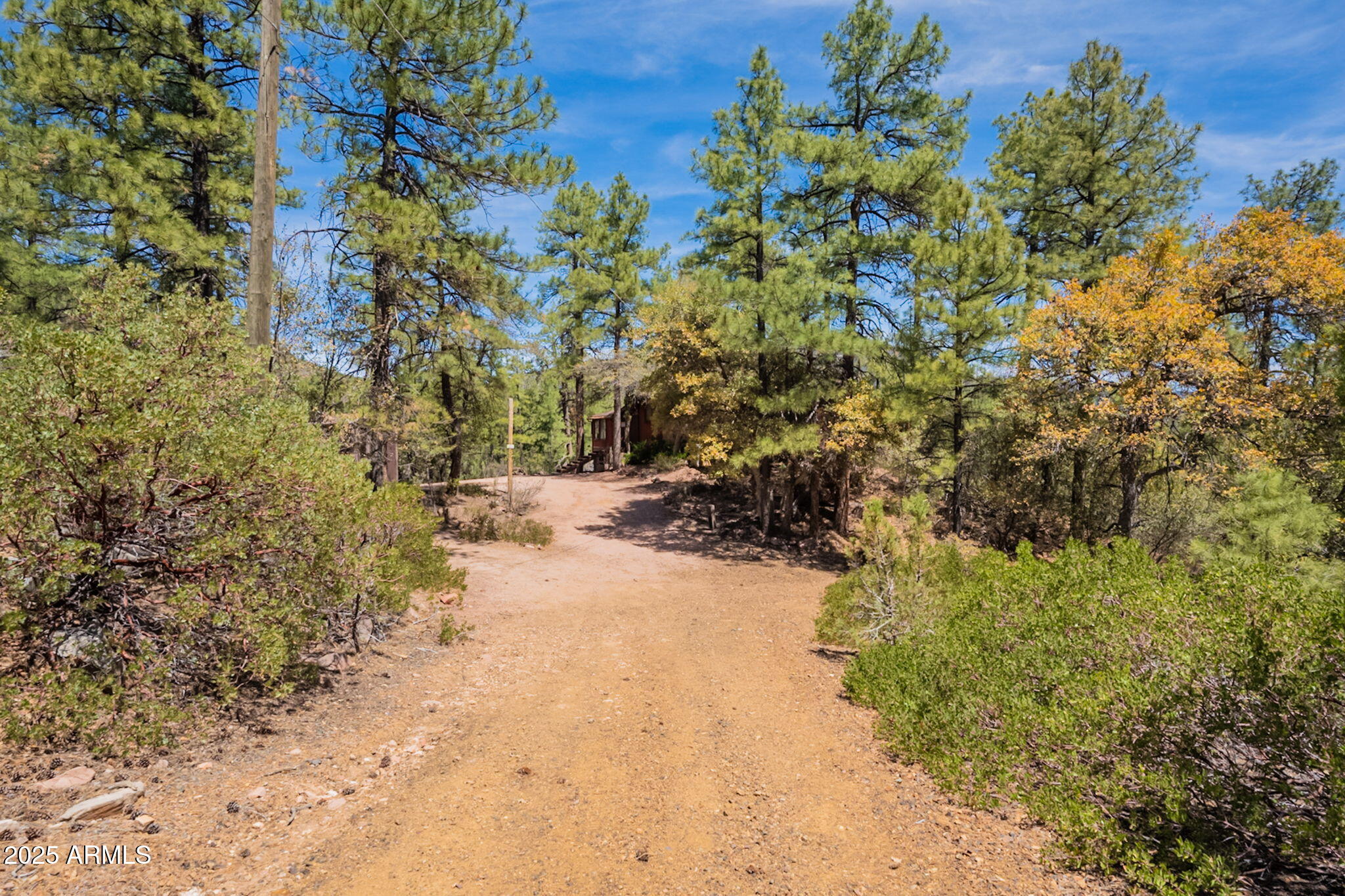 3524 Kelly Circle Pine, AZ 85544 - Photo 46 of 69 a view of a yard with plants and trees