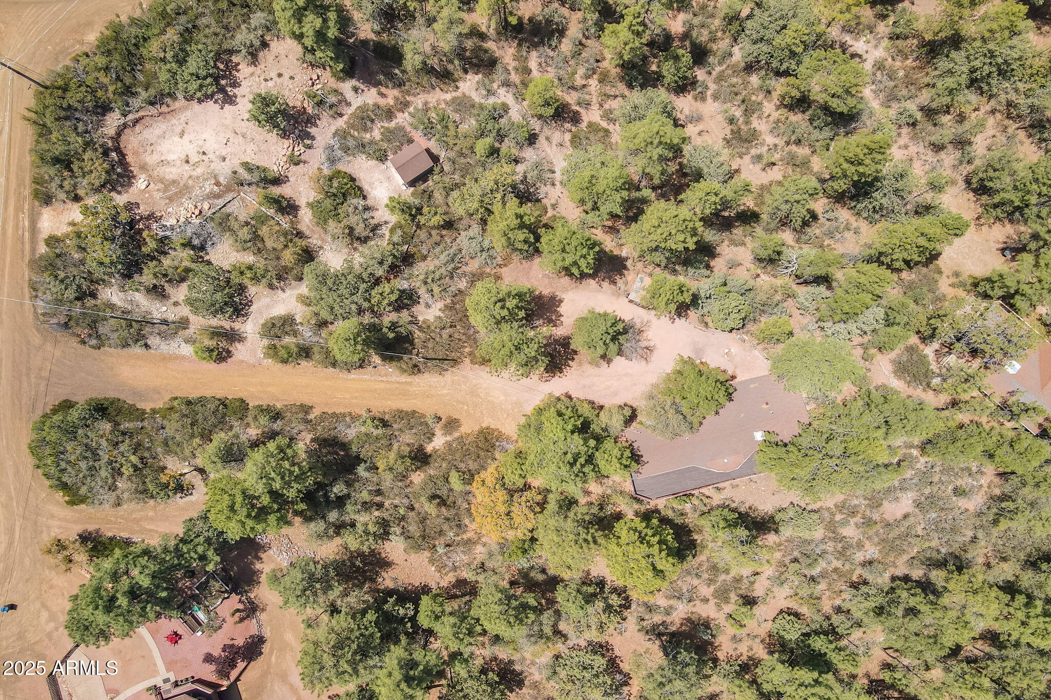 3524 Kelly Circle Pine, AZ 85544 - Photo 55 of 69 a view of a yard with a tree