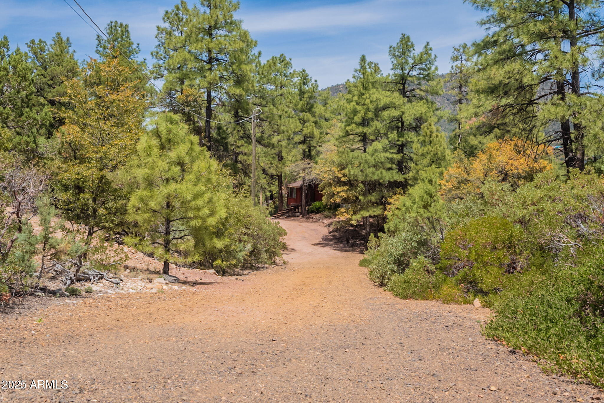 3524 Kelly Circle Pine, AZ 85544 - Photo 67 of 69 a view of a field with plants and trees