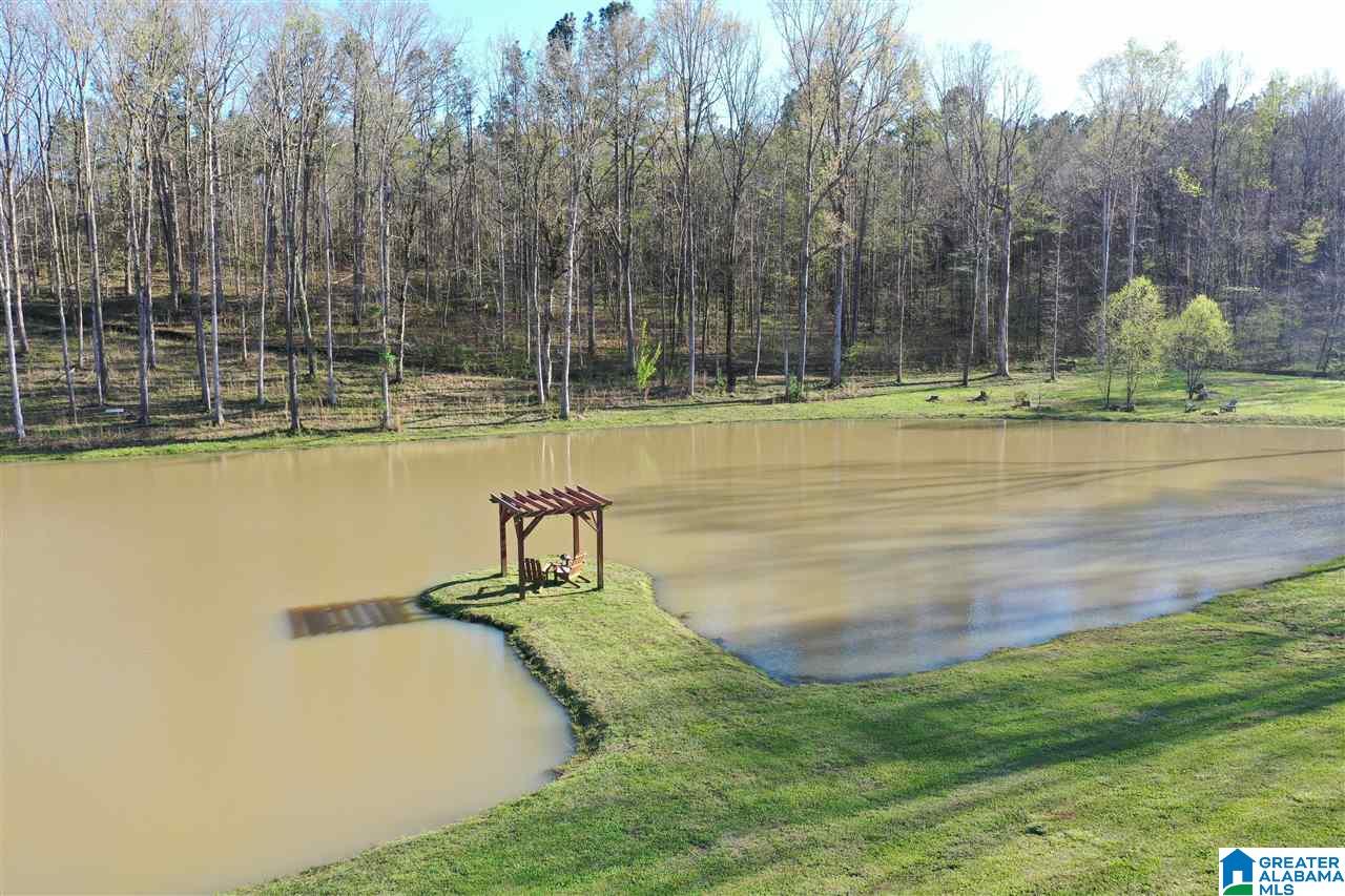 65 County Road 910 Delta, AL 36258 - Photo 34 of 38