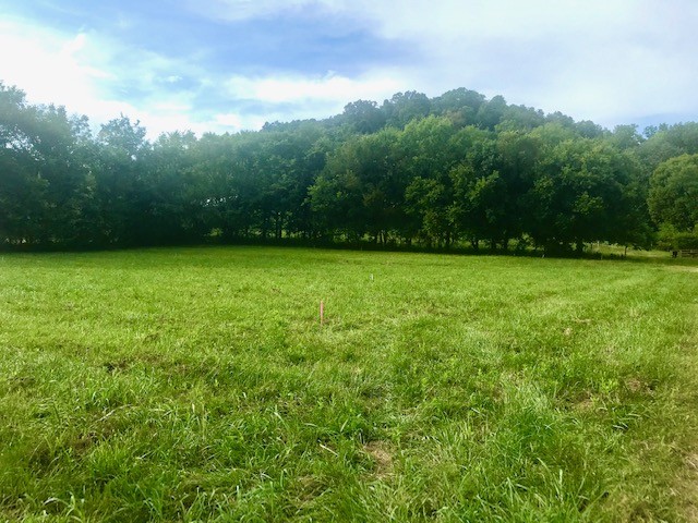 a view of a green yard