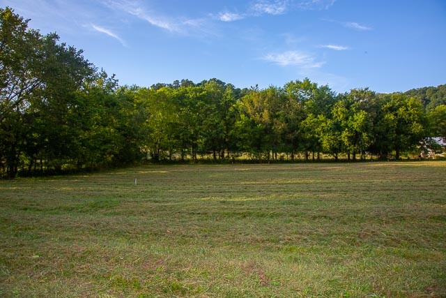 6822 Arno-Allisona Road College Grove, TN 37046 - Photo 14 of 24 a view of outdoor space with deck and trees