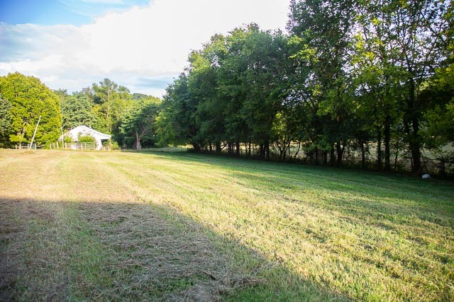 6822 Arno-Allisona Road College Grove, TN 37046 - Photo 15 of 24 a view of a swimming pool with a yard and trees
