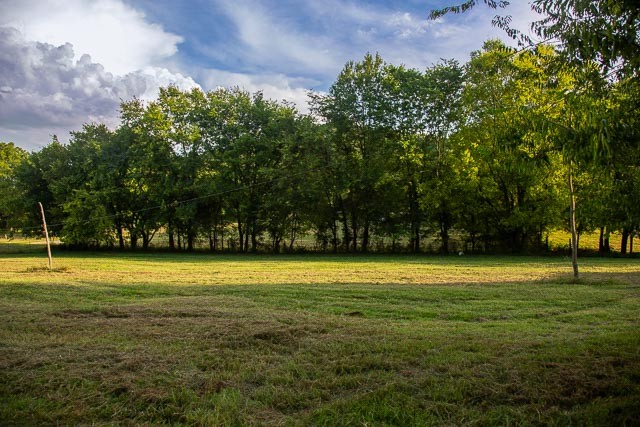 6822 Arno-Allisona Road College Grove, TN 37046 - Photo 16 of 24 a view of a tennis ground with large trees