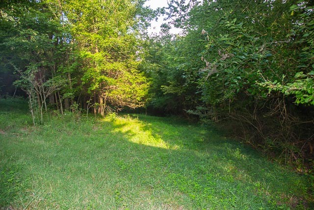 6822 Arno-Allisona Road College Grove, TN 37046 - Photo 17 of 24 a view of yard with green space