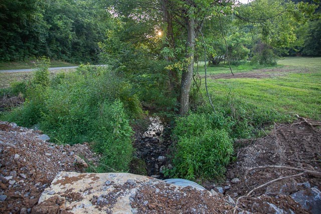 6822 Arno-Allisona Road College Grove, TN 37046 - Photo 19 of 24 a view of a lush green forest